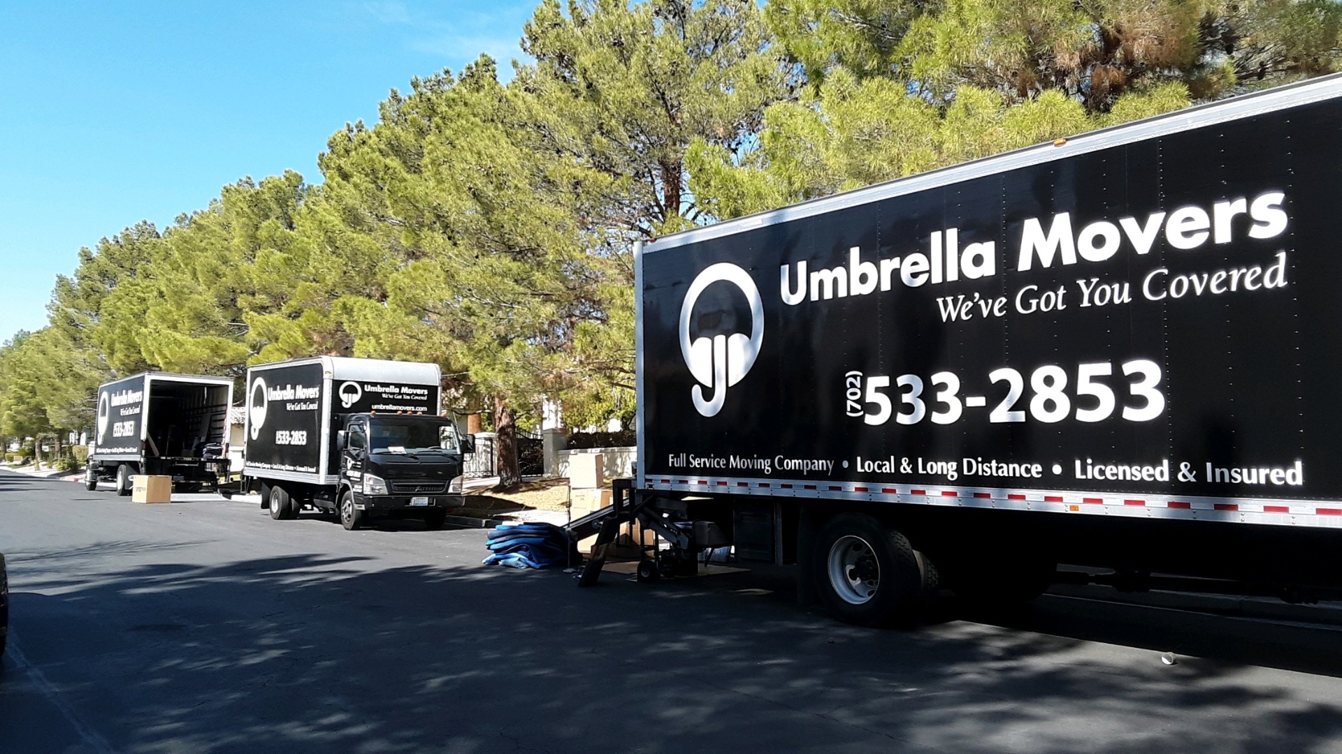 Professional Umbrella Movers team loading furniture into a moving truck